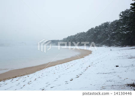 松原冬天的氣氛 14130446