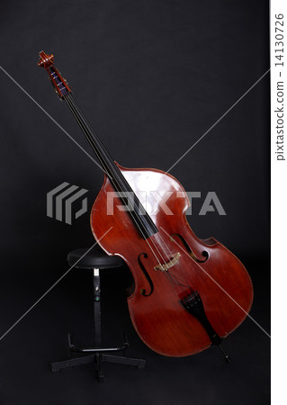 Contrabass in front of black background 14130726