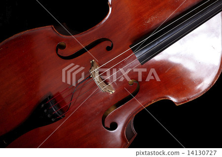 Contrabass in front of black background 14130727