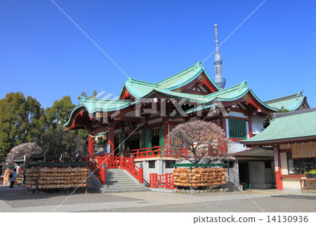 Kameido Tenjin Shrine 14130936