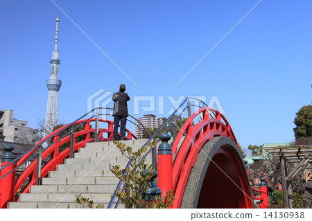 龜戶天神神社 龜戶天神神社 14130938