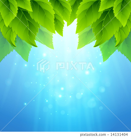 Spring fresh green leaves. Vector illustration 14131404