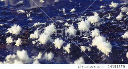 Frosted flower 14131559