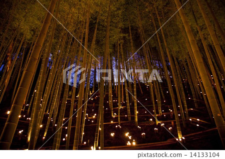 Bamboo lantern 14133104