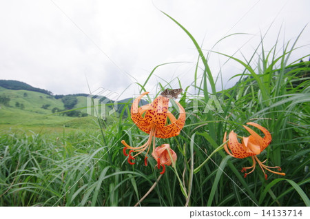 托峰高原 托峰高原 14133714
