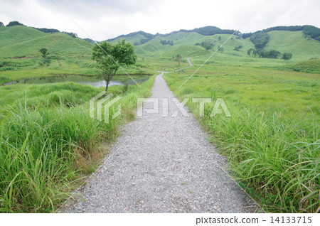 托峰高原　 14133715