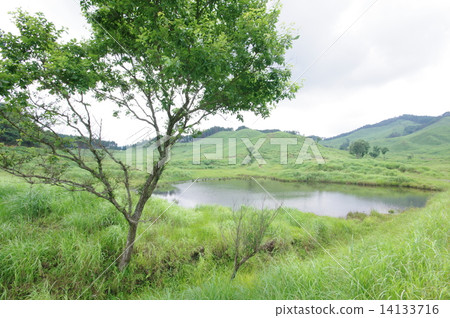 托峰高原 托峰高原 14133716