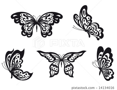 Butterflies set Butterflies set 14134016