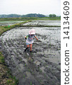 Rice planting experience 14134609