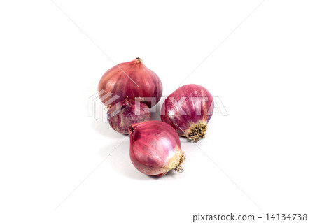 red onion bulb red onion bulb 14134738