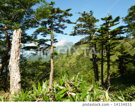 石錘山 14134831