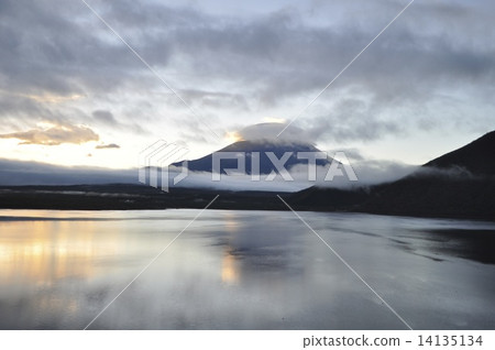 breaking Dawn  14135134