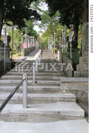 Nozomi Myokami Nozomi Myokami 14135451