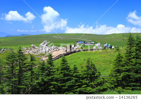 Summer Mikahara Plateau 14136265