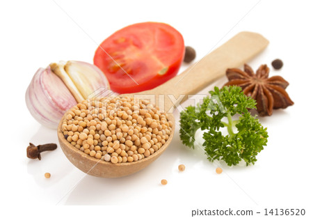 mustard spices spoon on white mustard spices spoon on white 14136520