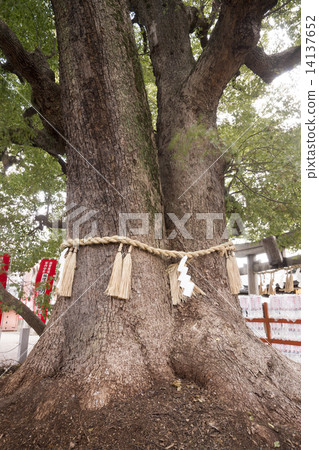 住吉大社 住吉大社 14137652