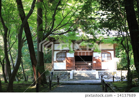Jizoin 14137689