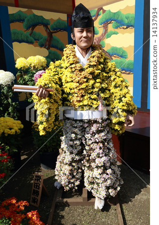 Nihonmatsu chrysanthemum doll Nihonmatsu chrysanthemum doll 14137934