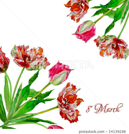 Background with bouquet of tulips2-03 14139286