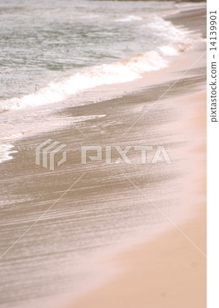Wave Wave 14139901