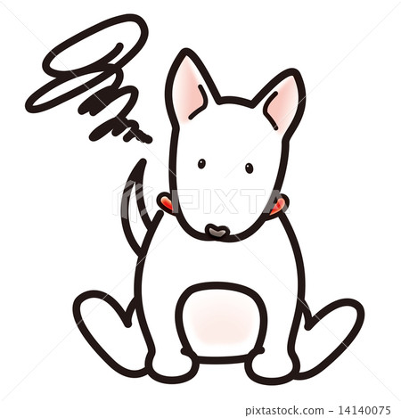 Bull Terrier (White) Bull Terrier (White) 14140075