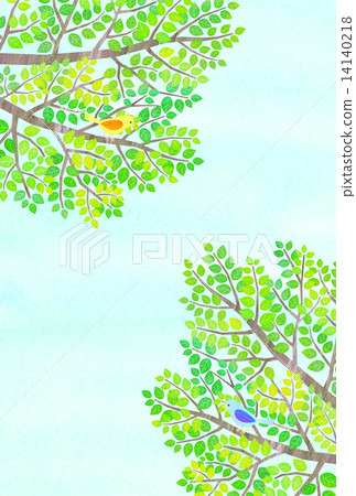 Fresh green and birds 14140218