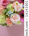 Carnation  14141901