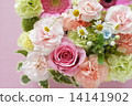 Carnation  14141902