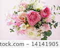 Ranunculus 14141905
