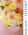 rose	 14141907