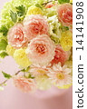 rose	 14141908