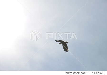 天空 天空 14142329