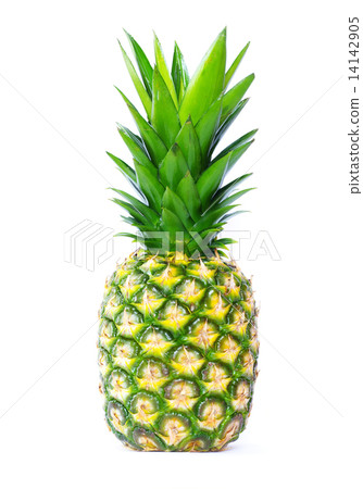 pineapple pineapple 14142905