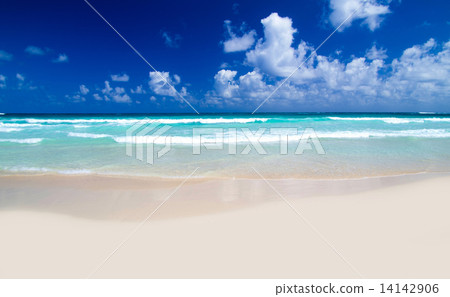 tropical sea tropical sea 14142906