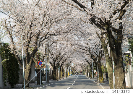 櫻花azamino 3丁目 櫻花azamino 3丁目 14143373