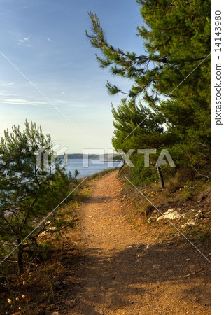 Relaxing scene with sport activity Relaxing scene with sport activity 14143980