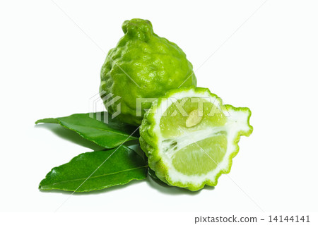 Bergamot 14144141