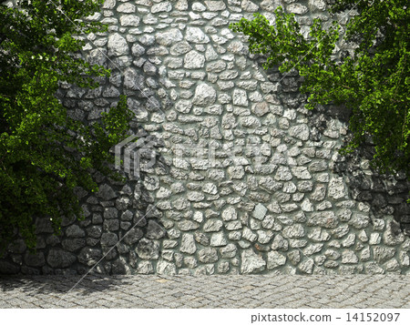 illuminated stone wall and ivy 14152097
