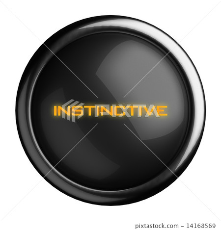 Word on black button 14168569