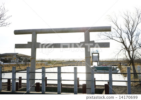 Muku shrine one torii gate 14170699