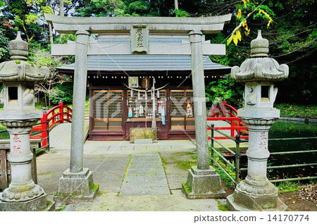 Deer row drive line Deer row drive line 14170774