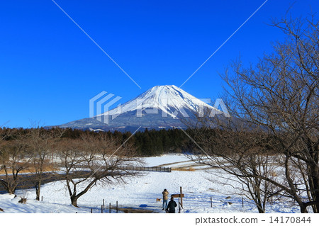 Morning fog and Mt. Fuji 14170844