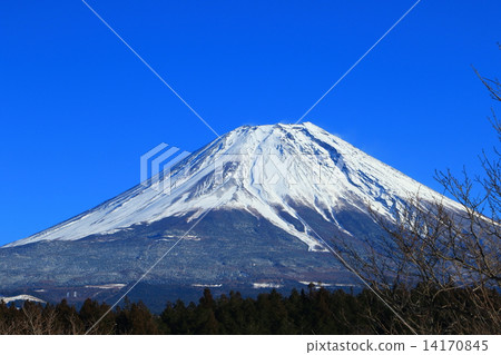 Morning fog and Mt. Fuji 14170845