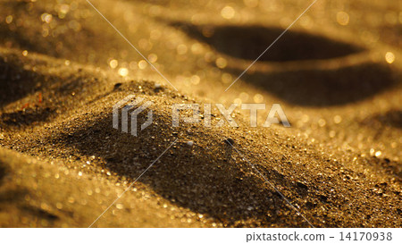 On the beach coast of Tai 14170938