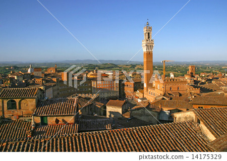 Palazzo Pubblico Siena 14175329