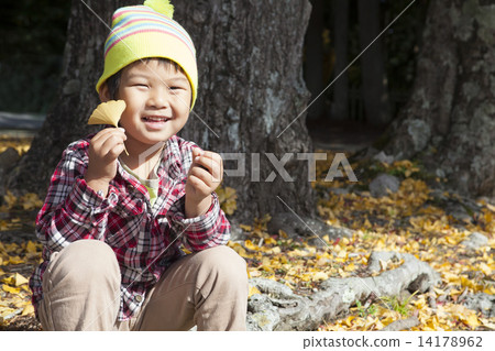 Children with ginkgo biloba Children with ginkgo biloba 14178962