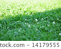 草坪 14179555