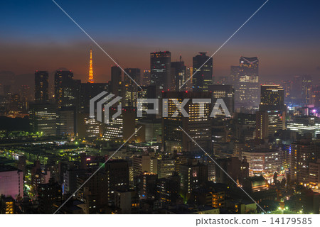 Tokyo night scene, panoramic view 14179585