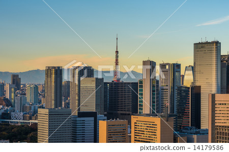 Tokyo aerial panoramic view 14179586