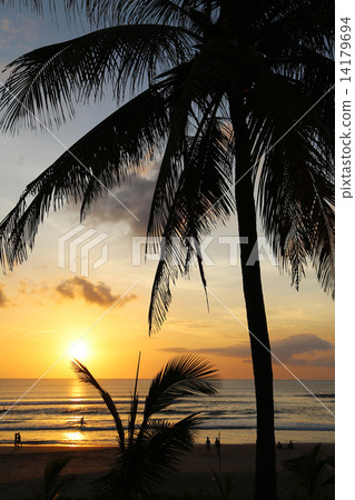 巴厘島日落1 14179694